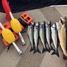 Autosett medium/sniksnøre/bunnsnøre - Automatisk fiskeutstyr thumbnail