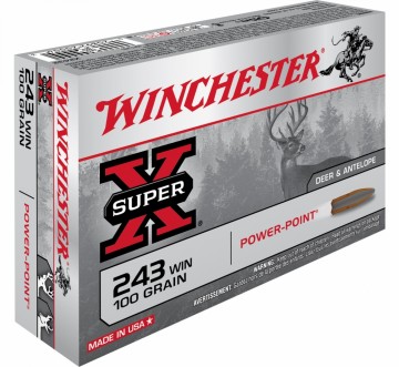 .243 Winchester Power Point 100gr